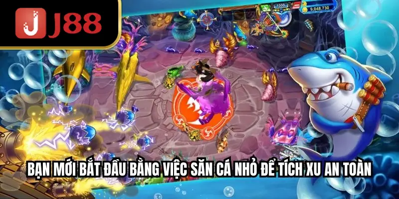 bạn mới bắt đầu bằng việc săn cá nhỏ để tích xu an toàn