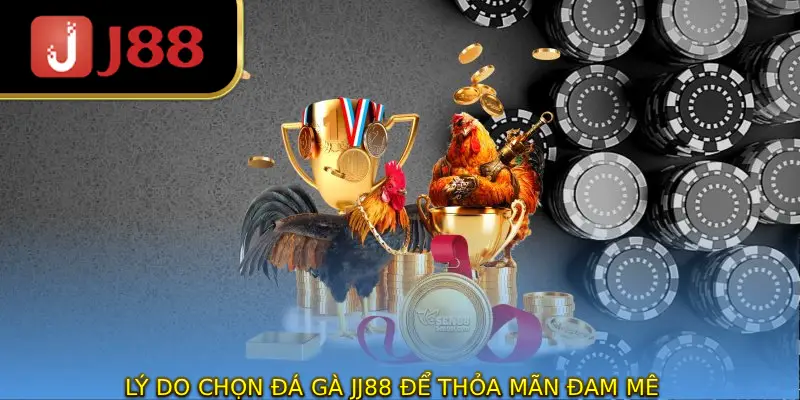 Lý do nên chọn đá gà JJ88 để thỏa mãn đam mê cá cược
